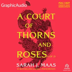 Una corte de llamas plateadas por Sarah J. Maas, Julio Sierra - traductor -  Audiolibro 