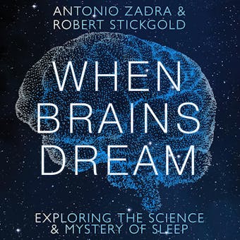 When Brains Dream: Exploring the Science and Mystery of Sleep - Robert Stickgold, Antonio Zadra