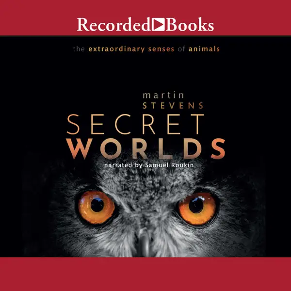 Secret Worlds