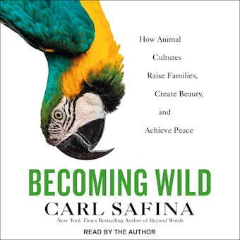 Becoming Wild: How Animals Learn to be Animals - Carl Safina
