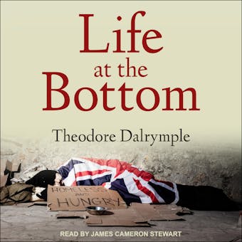Life at the Bottom: The Worldview That Makes the Underclass - undefined