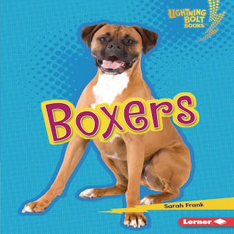Boxers - undefined