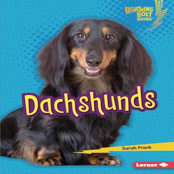 Dachshunds - undefined