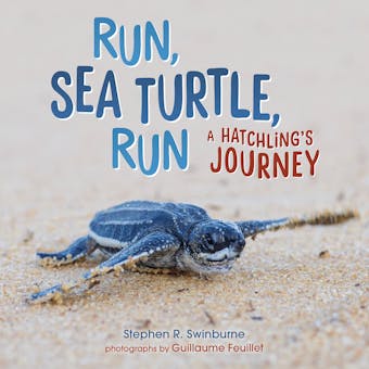 Run, Sea Turtle, Run: A Hatchling's Journey - undefined