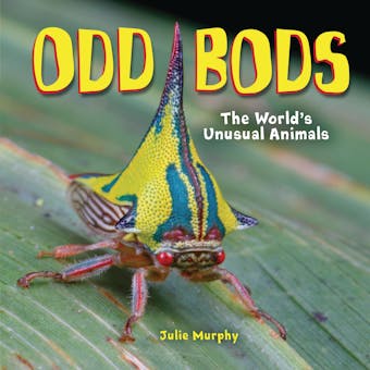 Odd Bods: The World's Unusual Animals - undefined