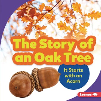 The Story of an Oak Tree: It Starts with an Acorn - undefined