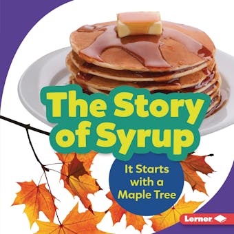 The Story of Syrup: It Starts with a Maple Tree - undefined