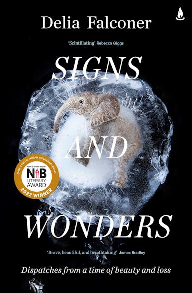 Signs And Wonders : Dispatches From A Time Of Beauty And Loss