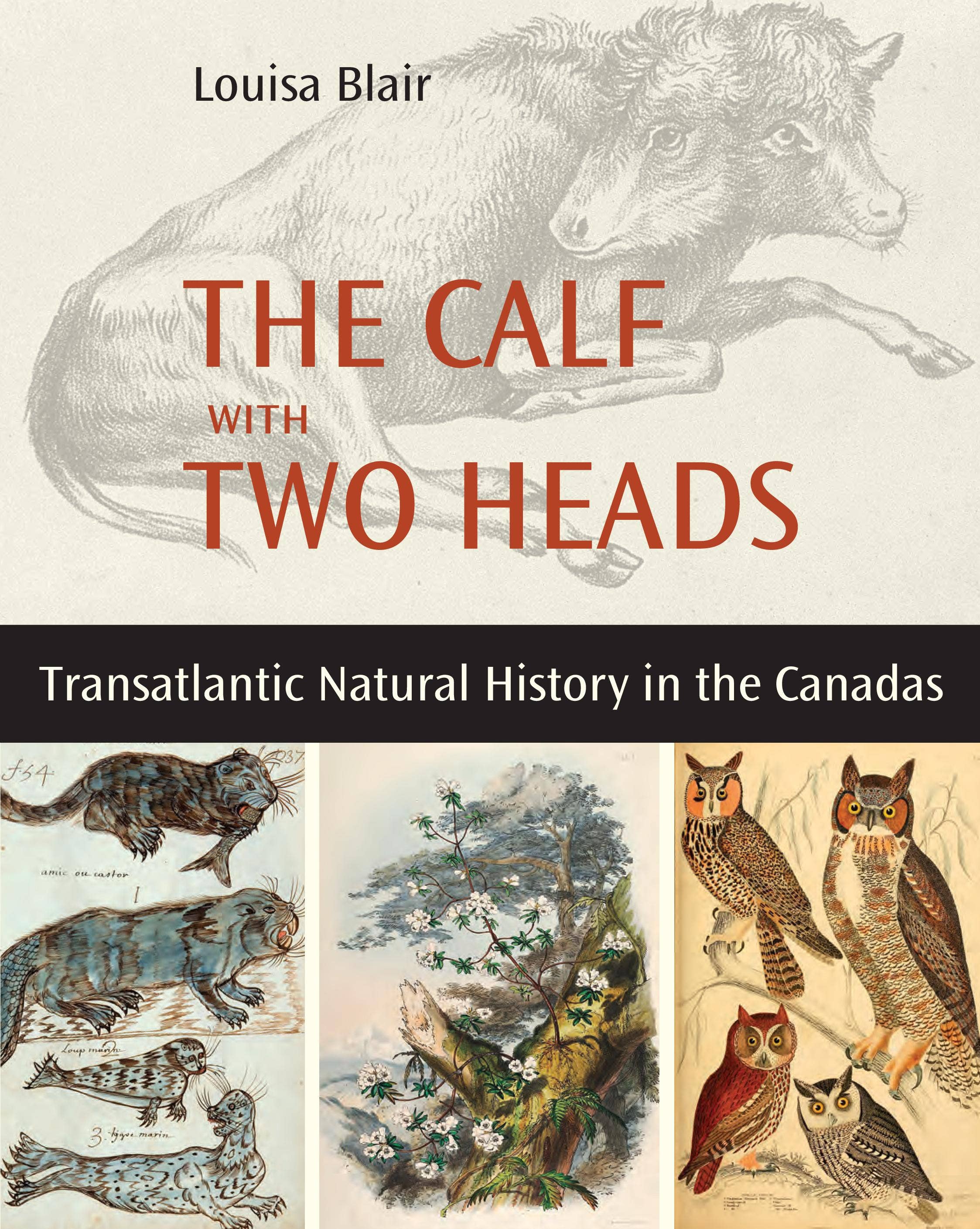 The Calf with Two Heads : Transatlantic Natural History in the Canadas