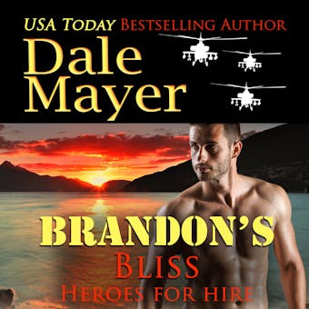 Brandon's Bliss: Book 14: Heroes For Hire - undefined