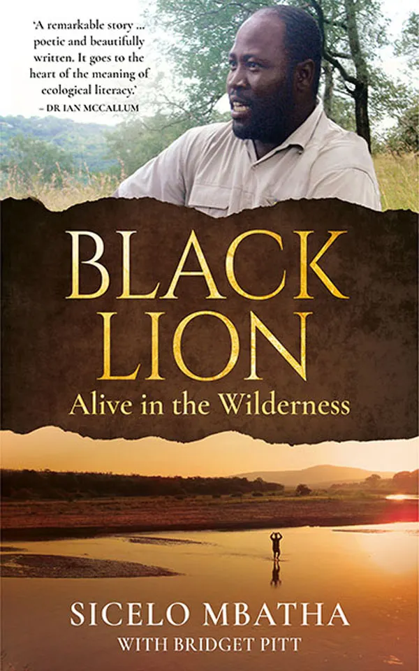Black Lion : Alive in the Wilderness