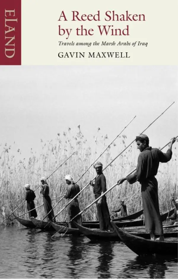 A Reed Shaken by the Wind : Travels among the Marsh Arabs of Iraq