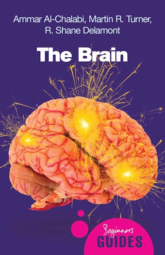 The Brain: A Beginner's Guide - Ammar al-Chalabi, Martin R. Turner, R. Shane Delamont