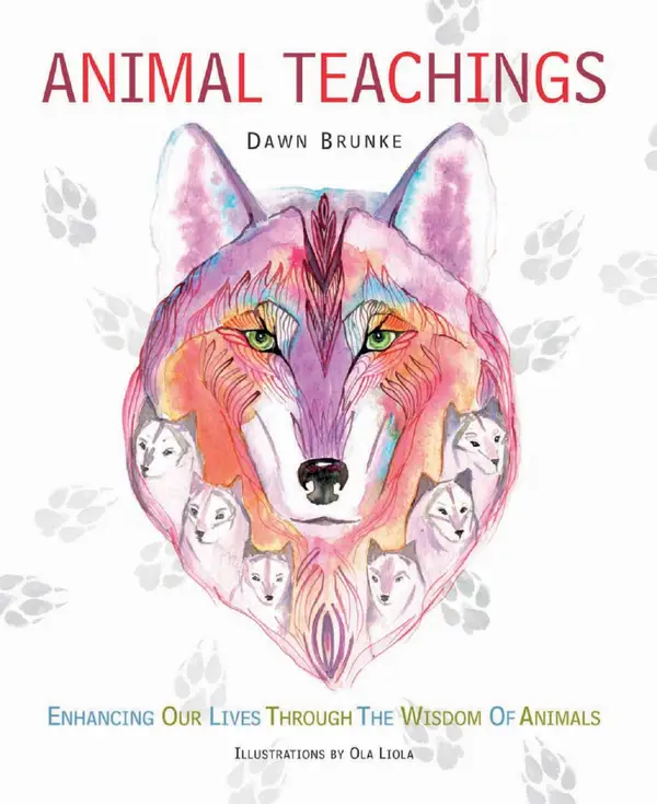 Animal Teachings : Enhancing our lives through the wisdom of animals
