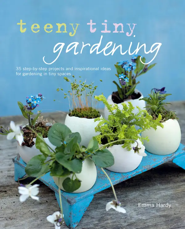 Teeny Tiny Gardening : 35 step-by-step projects and inspirational ideas for gardening in tiny spaces