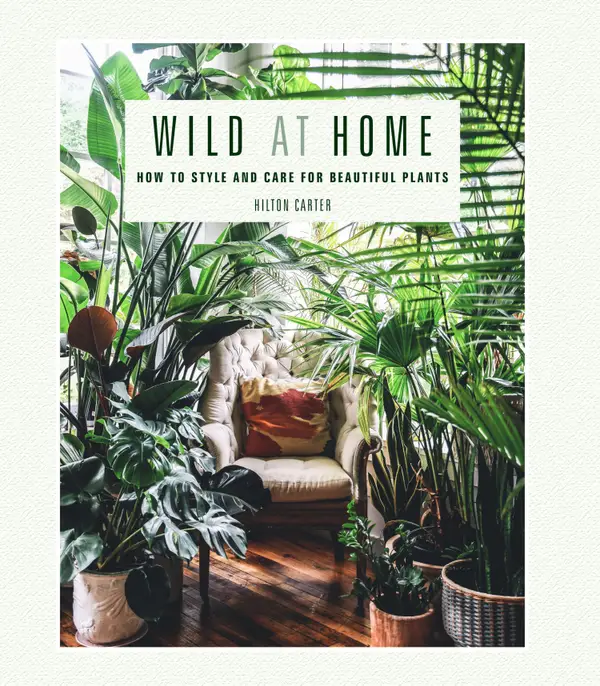 Wild at Home : How to style and care for beautiful plants