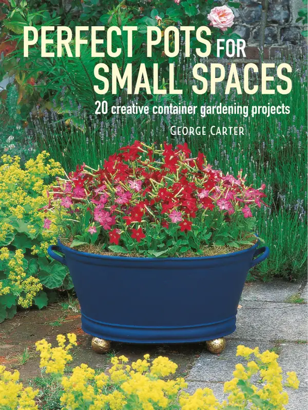 Perfect Pots for Small Spaces : 20 creative container gardening projects