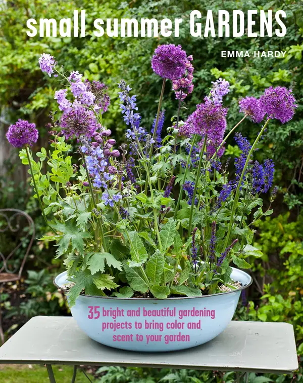 Small Summer Gardens : 35 bright and beautiful gardening projects to bring color and scent to your garden