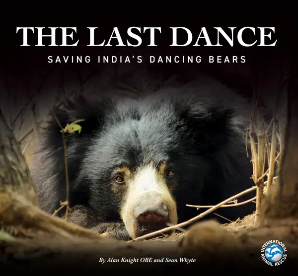 The Last Dance : Saving India's Dancing Bears