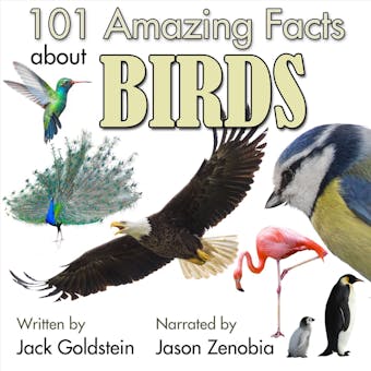 101 Amazing Facts about Birds (Unabbreviated) - Jack Goldstein