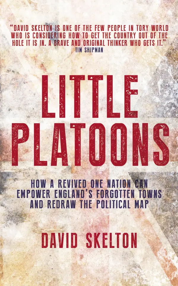Little Platoons : How a revived One Nation can empower England's forgotten towns and redraw the political map