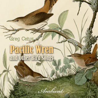 Pacific Wren and Other Bird Songs: Nature Sounds for Good Mood - Greg Cetus