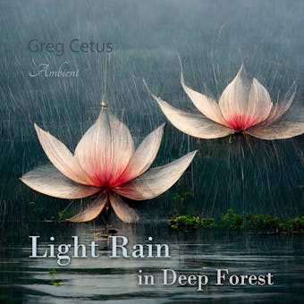 Light Rain in Deep Forest: Nature Sounds for Relaxation