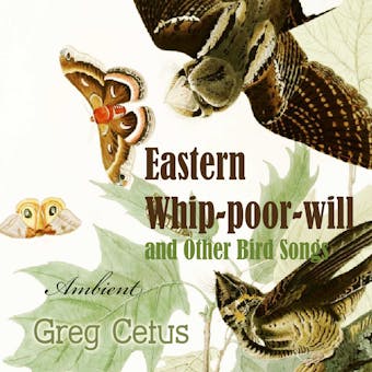 Eastern Whip-poor-will and Other Bird Songs: Nature Sounds for Trance and Meditation - Greg Cetus