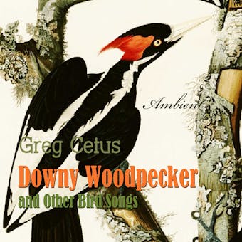 Downy Woodpecker and Other Bird Songs: Nature Sounds for Awakening