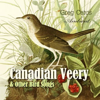 Canadian Veery and Other Bird Songs: Ambient Soundscape for Peace of Mind - Greg Cetus