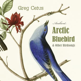 Arctic Bluebird and Other Birdsongs: Ambient Soundscape for Meditation - Greg Cetus