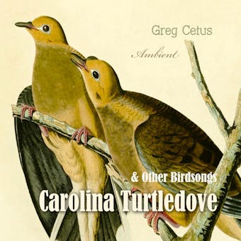 Carolina Turtledove and Other Birdsongs - Greg Cetus