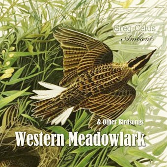 Western Meadowlark and Other Bird Songs
