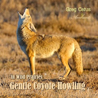 Gentle Coyote Howling in Wild Prairies - Greg Cetus