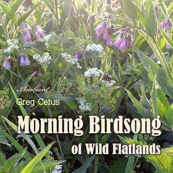 Morning Birdsong of Wild Flatlands - Greg Cetus