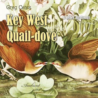 Key West Quail-dove and Other Birdsongs - Greg Cetus