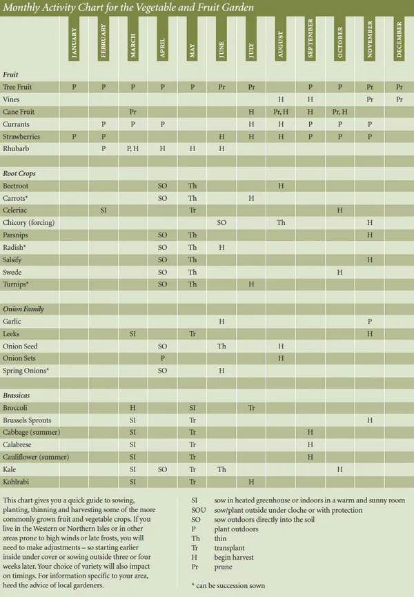 Fruit and Vegetables for Scotland : What to Grow and How to Grow It