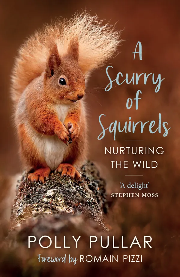 A Scurry of Squirrels : Nurturing The Wild