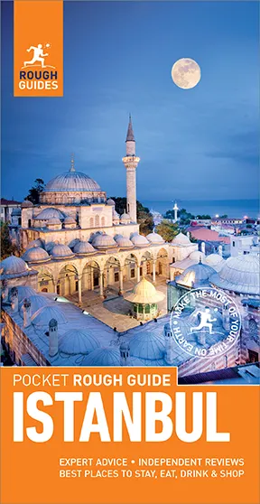 Pocket Rough Guide Istanbul (Travel Guide eBook)