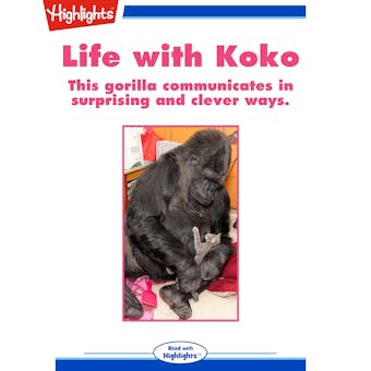 Life with Koko - undefined