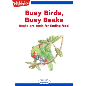 Busy Birds, Busy Beaks: Beaks are tools for finding food. - undefined