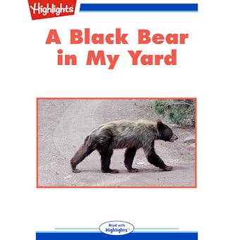 A Black Bear in My Yard - undefined