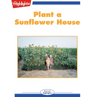 Plant a Sunflower House - undefined