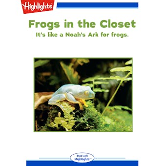 Frogs in the Closet - undefined