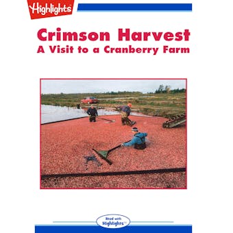 Crimson Harvest: A Visit to a Cranberry Farm - undefined