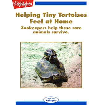 Helping Tiny Tortoises Feel at Home - undefined