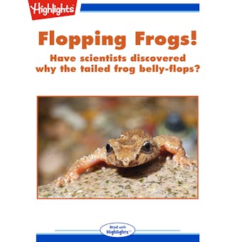 Flopping Frogs - undefined