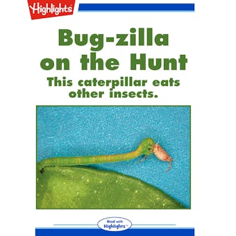 Bug-zilla on the Hunt: This caterpillar eats other insects. - undefined