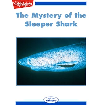 The Mystery of the Sleeper Shark - undefined