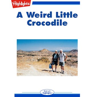 A Weird Little Crocodile - undefined